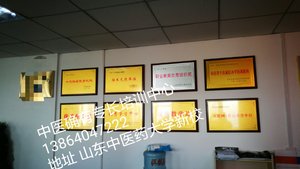 弘康中医确有专长培训资质